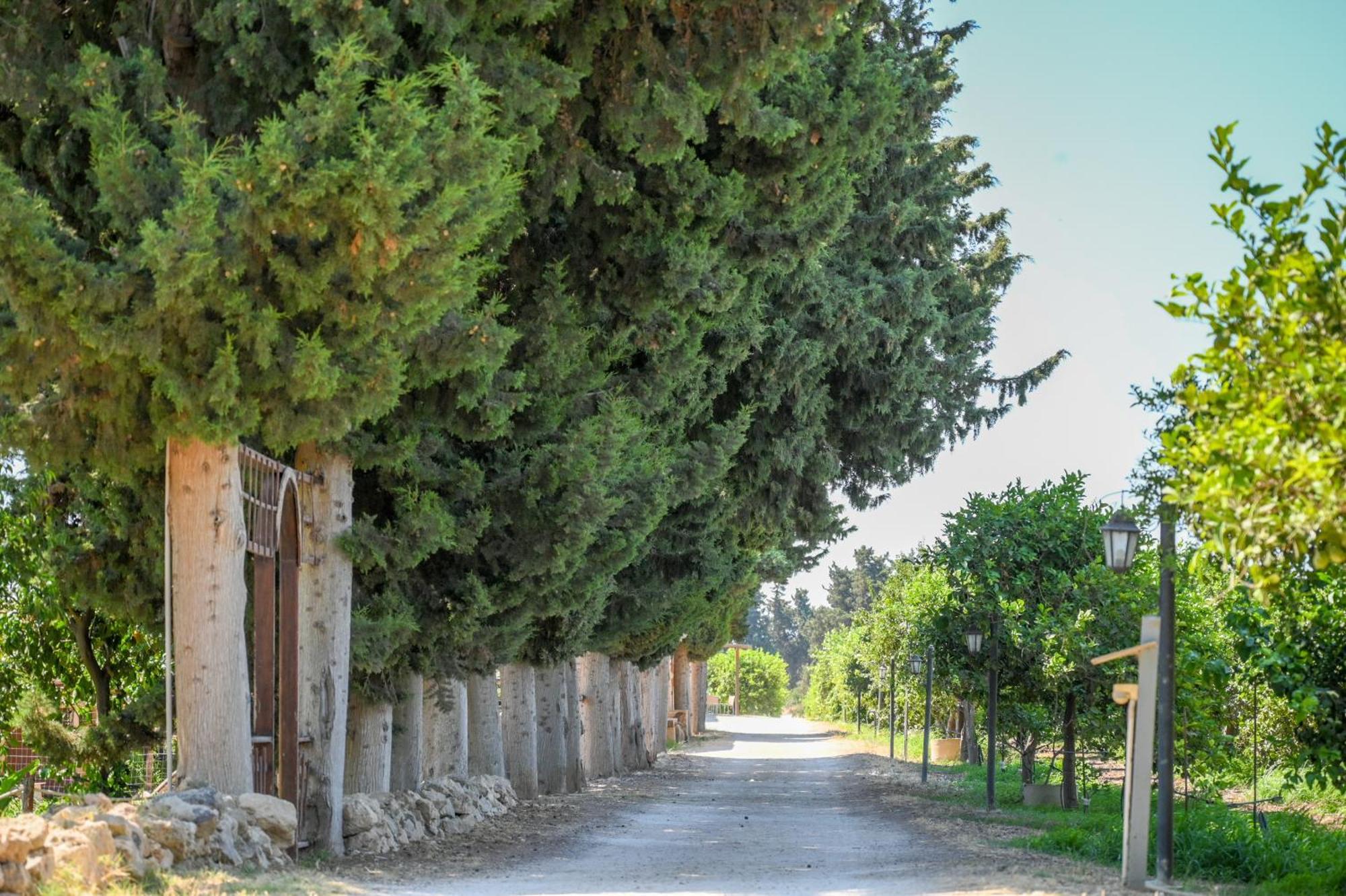Agriturismo Torre Vendicari Noto Bagian luar foto
